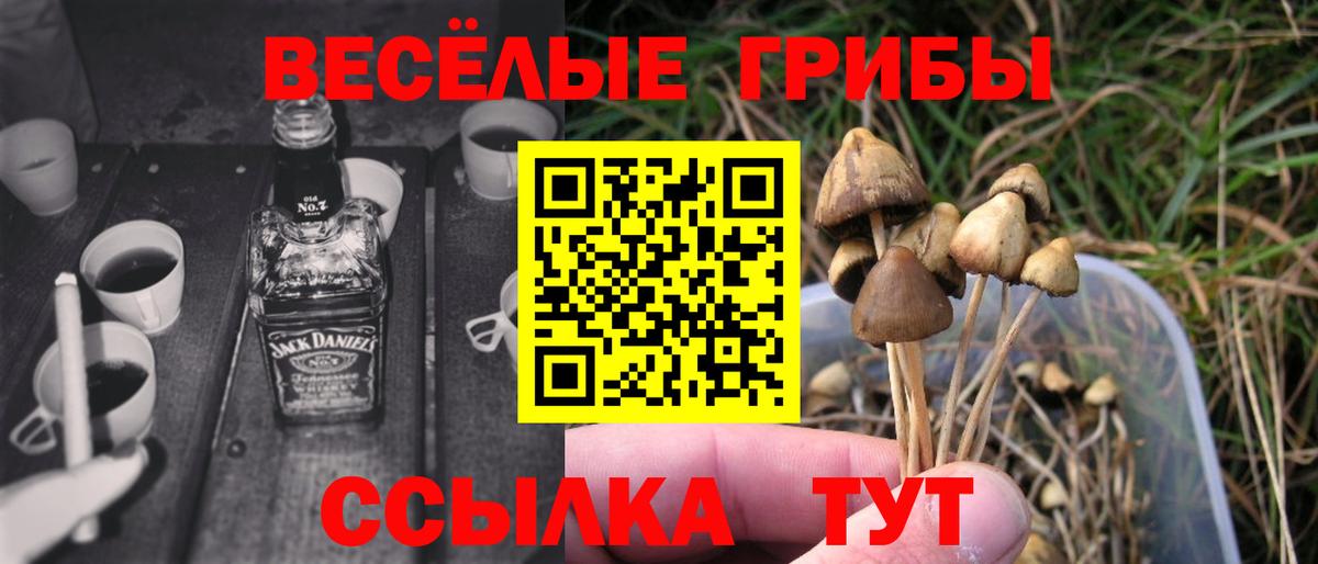 Дедовск  Галлюциногенные грибы мицелий  магазин продажи наркотиков  Псилоцибиновые грибы мухоморы  Вход с VPN 